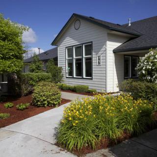 A well-maintained house with lush landscaping and a paved driveway on a sunny day.