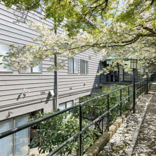 A modern building exterior with a tree-lined pathway and sunlight filtering through the leaves.