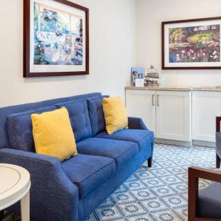 A cozy living room with a blue sofa and yellow pillows, complemented by artwork on the walls and a patterned carpet.