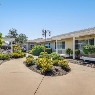 A sunny outdoor area with a pathway surrounded by gardens and shrubs.