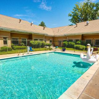 A sunny day at an outdoor hotel pool with an inflatable swan.