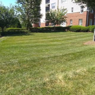 A well-maintained lawn in front of an apartment building.