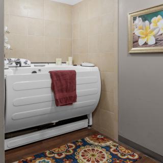 A cozy bathroom featuring a walk-in bathtub, decorative rug, and a floral painting on the wall.
