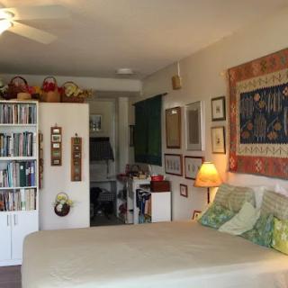 Cozy bedroom with a large bed, bookshelf, and wall decorations.