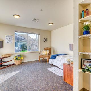 A cozy bedroom with a single bed, large window, and decorative plants on a shelf.