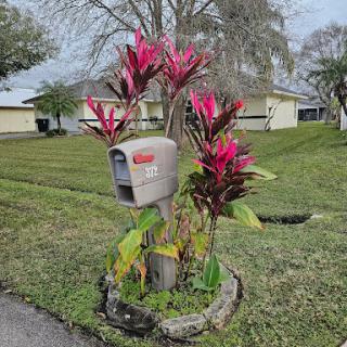 A vibrant mailbox adorned with colorful flowers, adding charm to the residential landscape.