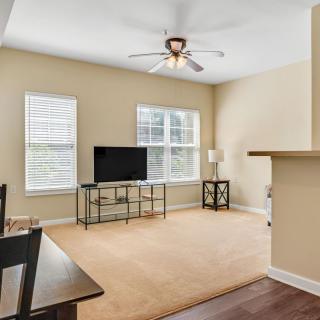 A cozy living room featuring a television, carpeted floor, and natural light from two windows.
