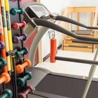 A gym setup with treadmills and a variety of dumbbells.