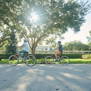 Two people enjoying a leisurely bike ride on a sunny day.
