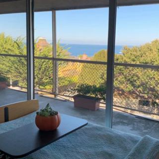 A cozy interior with a table and pumpkin plant overlooking a scenic view of the sea and trees from a balcony.