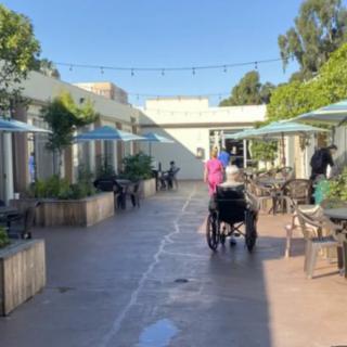 An outdoor patio area with people in wheelchairs, surrounded by tables, chairs, and greenery on a sunny day.