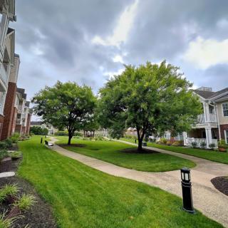 A serene outdoor scene with a pathway winding through lush green grass and trees, bordered by residential buildings under a cloudy sky.