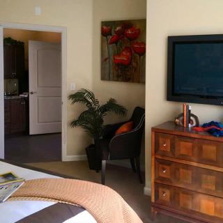 A cozy bedroom featuring a television, dresser, artwork, and a plant next to an open doorway.