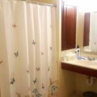 A bathroom featuring a butterfly-patterned shower curtain, a sink with a cabinet, and a mirror.