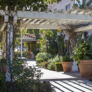 A sunlit outdoor walkway with a pergola and lush potted plants.