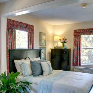 A cozy bedroom featuring a bed with pillows, two windows with patterned curtains, a lamp on a dresser, and decorative plants.