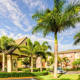Sunny day at a tropical hotel entrance with palm trees.