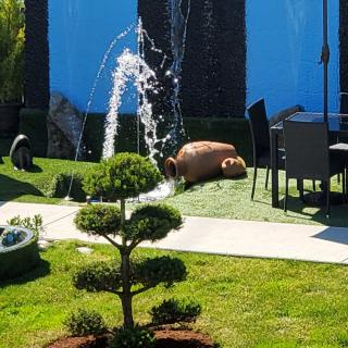 A serene garden setting with a fountain, neatly trimmed shrubs, and patio furniture on a sunny day.