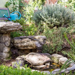 A tranquil garden scene featuring a stone water feature surrounded by lush greenery, with a bench and watering can in the background.