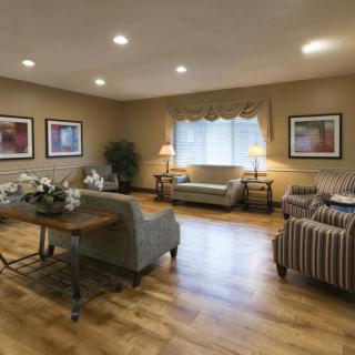 A cozy living room with sofas, chairs, and elegant decor.