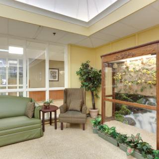 A cozy waiting area featuring comfortable seating and a touch of nature.