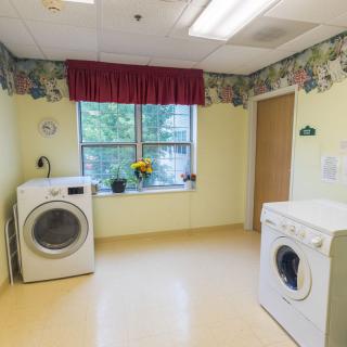 A clean and bright laundry room with a washer, dryer, and window with plants.