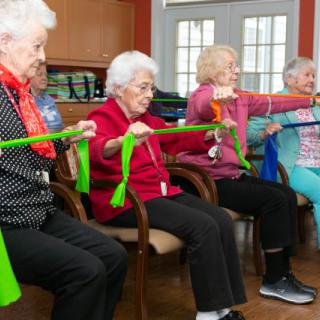 A group of elderly women performing exercises with resistance bands indoors.