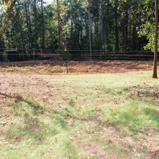 A peaceful outdoor scene featuring a grassy area bordered by trees and a fence.