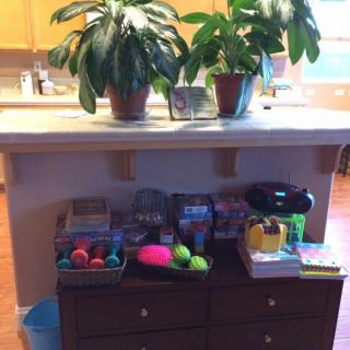 A kitchen counter adorned with potted plants and a variety of toys arranged on a storage unit.