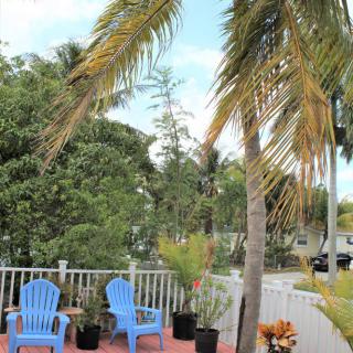 A serene patio with blue chairs surrounded by lush greenery and palm trees.