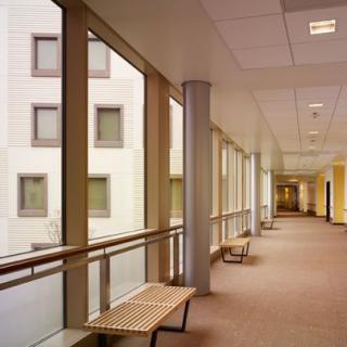 An empty corridor with benches and large windows.