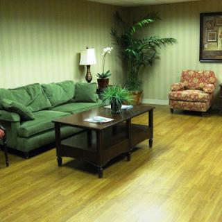 A cozy living room featuring a green sofa, an armchair, a coffee table, and decorative plants.