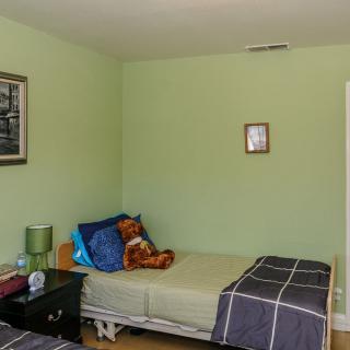 A cozy bedroom with two single beds, green walls, and a teddy bear on one bed.