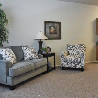 A cozy living room featuring a gray sofa and a patterned armchair, accompanied by decorative pillows, a side table with a lamp, and an indoor plant in the corner.