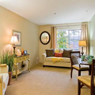 Cozy living room with a sofa, lamp, and window view.