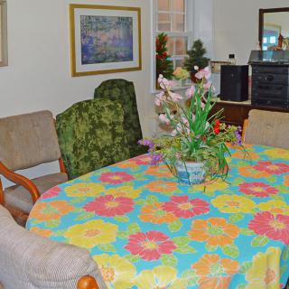 A cozy dining room featuring a brightly colored floral tablecloth and an arrangement of plants.