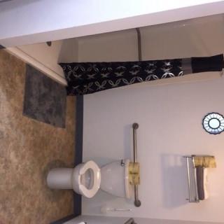 A bathroom with a toilet, shower area, and grab bar for accessibility.