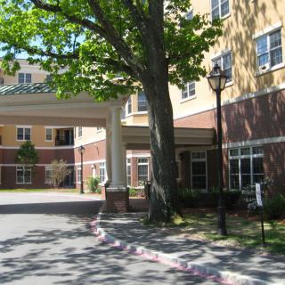 A building entrance with surrounding trees and windows.