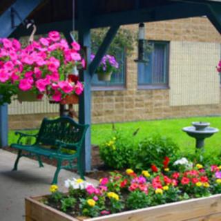 A charming outdoor garden with vibrant flowers, hanging plants, a bench, and a birdbath.