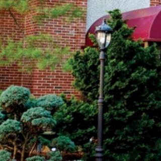 A charming street corner with a vintage lamp post surrounded by lush greenery and red brick architecture.