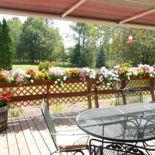 A sunny patio with a metal table and chairs overlooking a garden filled with colorful flowers.