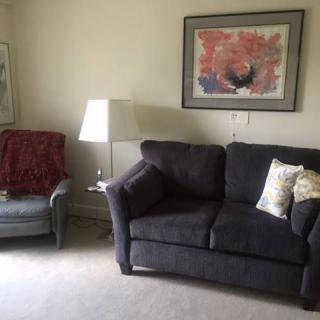 A cozy living room featuring a dark sofa, an armchair with a red throw, and framed artwork on the wall.