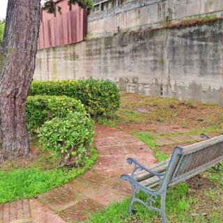 A quiet outdoor area with a bench along a brick pathway near bushes and a large tree, adjacent to a concrete wall.