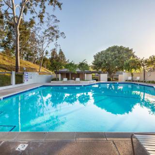 A serene outdoor swimming pool surrounded by trees and bathed in sunlight.