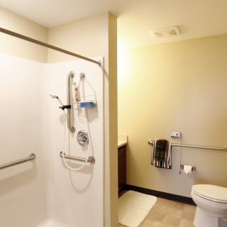 An accessible bathroom with a walk-in shower and toilet.