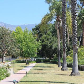 A serene garden pathway lined with palm trees and lush greenery under a clear blue sky.