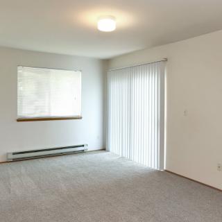 An empty room with carpet flooring, a window with blinds, and a ceiling light fixture.