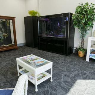 A cozy living room with a large aquarium, a small white table with magazines, and a potted plant.