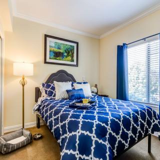 A cozy bedroom with blue patterned bedding, a standing lamp, and a large window offering natural light.
