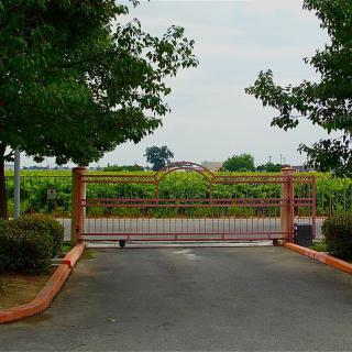 A gated driveway surrounded by trees with a view of fields beyond.